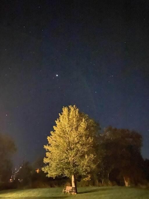 הוילה Holly Tree Retreat Located In Beautiful Luray, Va. מראה חיצוני תמונה