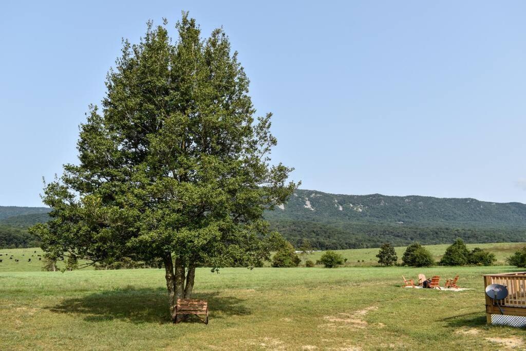הוילה Holly Tree Retreat Located In Beautiful Luray, Va. מראה חיצוני תמונה