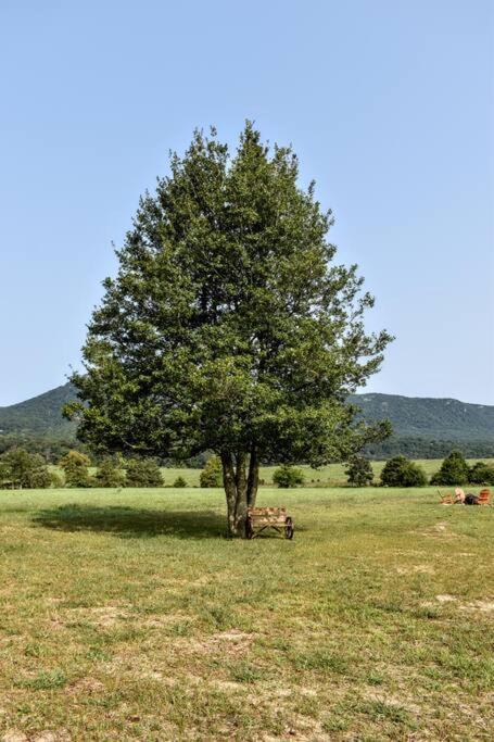 הוילה Holly Tree Retreat Located In Beautiful Luray, Va. מראה חיצוני תמונה