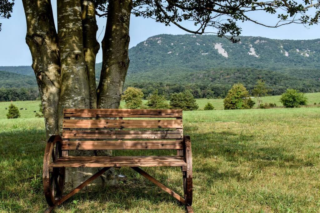 הוילה Holly Tree Retreat Located In Beautiful Luray, Va. מראה חיצוני תמונה