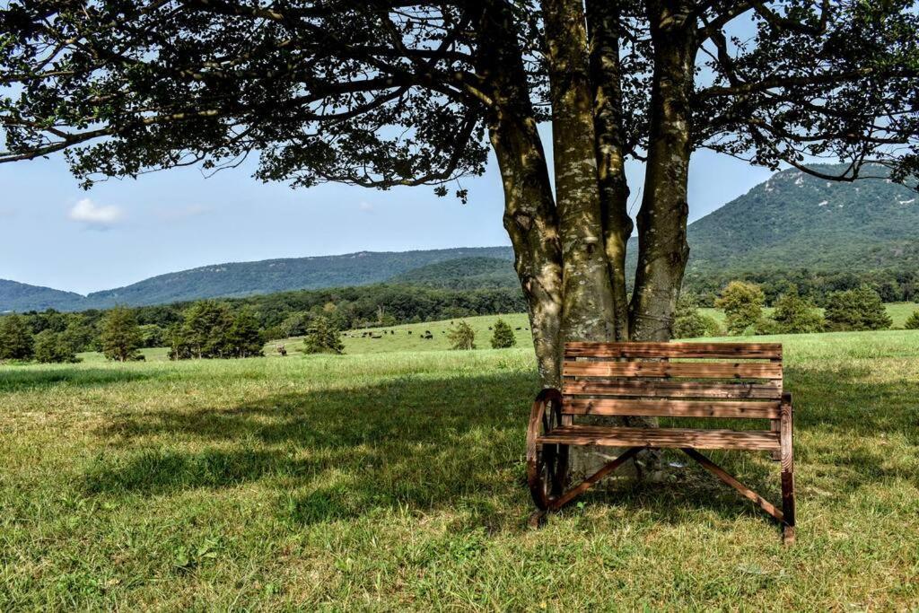 הוילה Holly Tree Retreat Located In Beautiful Luray, Va. מראה חיצוני תמונה