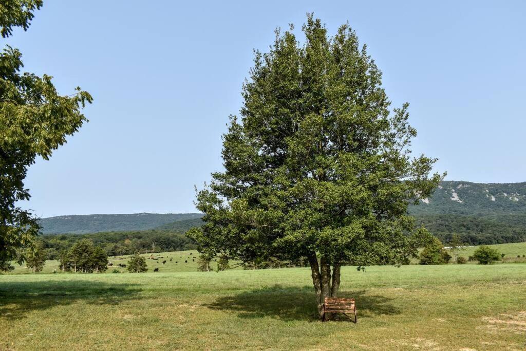 הוילה Holly Tree Retreat Located In Beautiful Luray, Va. מראה חיצוני תמונה